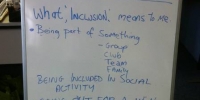 inclusion_1